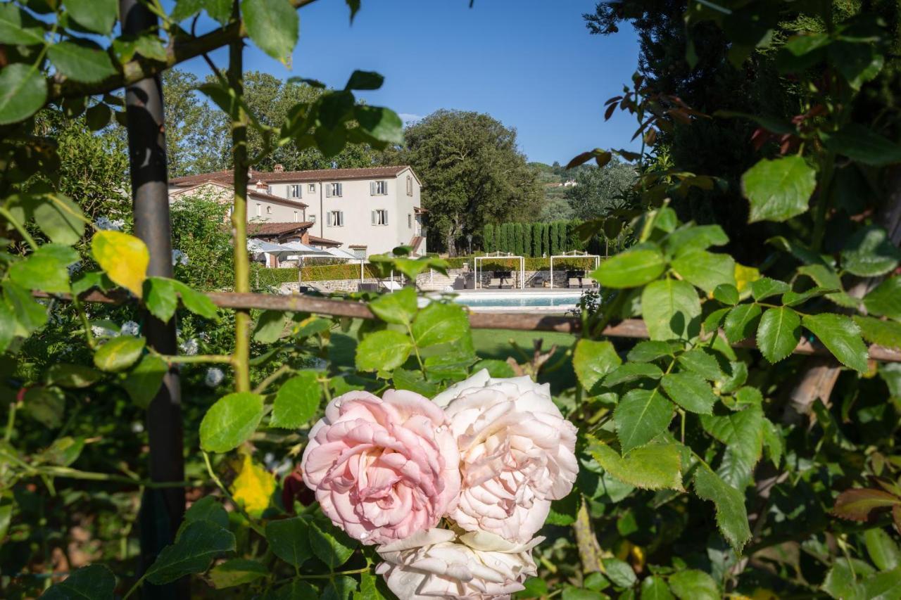Villa Pitti Amerighi - Residenza D'Epoca Pieve a Nievole エクステリア 写真